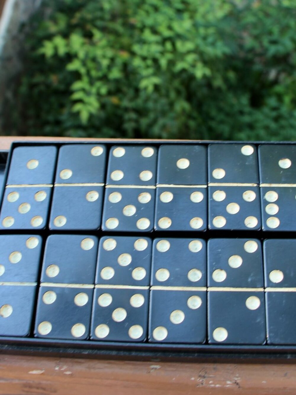 Vintage black dominos